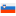 Jezik vloge Slovenščina